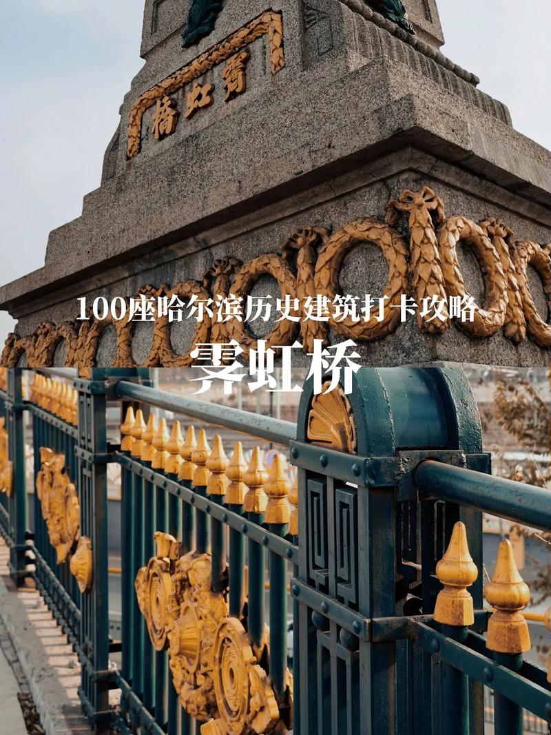 哈尔滨霁虹桥限行/哈尔滨那条路限行-第6张图片 哈尔滨霁虹桥限行/哈尔滨那条路限行-第6张图片