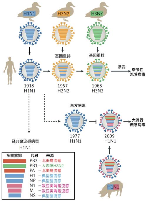 汕尾疫情图/汕尾疫情等级最新消息-第2张图片