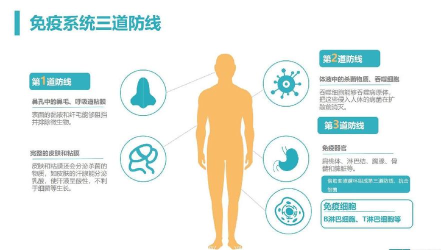 疫情防线严密-抗击疫情的严密防线指的是-第4张图片