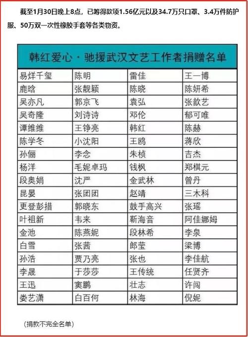 【疫情捐物清单/疫情捐物清单图片】-第8张图片 【疫情捐物清单/疫情捐物清单图片】-第8张图片