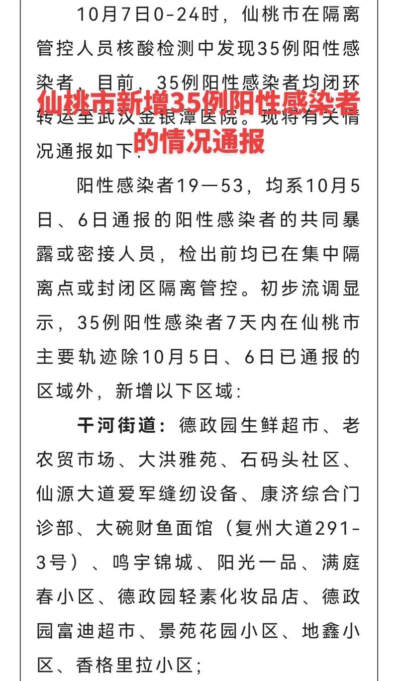 仙桃真实疫情-仙桃疫情最新通报-第4张图片