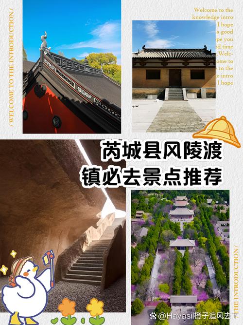 【芮城疫情情况/芮城疫情情况最新消息】-第4张图片