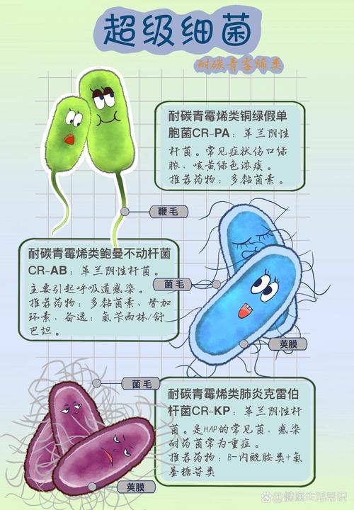 外国霍乱疫情，霍乱疫情控制措施-第2张图片