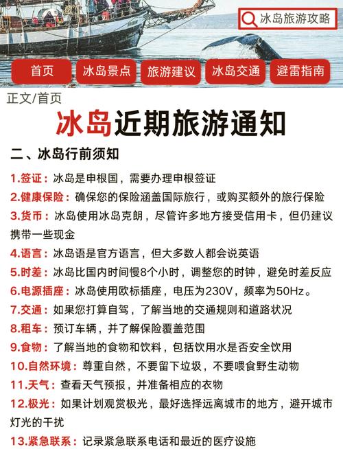 冰岛疫情防范，冰岛疫情防控-第2张图片