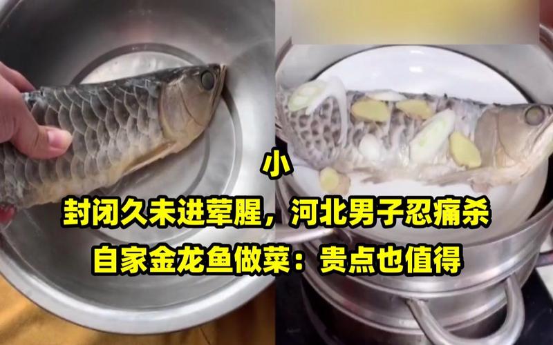 疫情想吃鱼,疫情期间不能吃鱼吗-第3张图片 疫情想吃鱼,疫情期间不能吃鱼吗-第3张图片