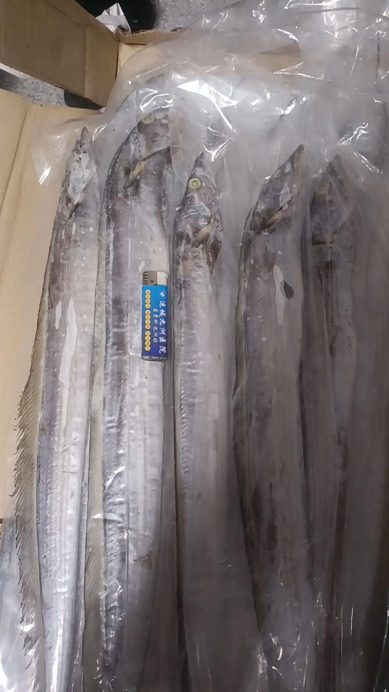 疫情想吃鱼,疫情期间不能吃鱼吗-第4张图片 疫情想吃鱼,疫情期间不能吃鱼吗-第4张图片