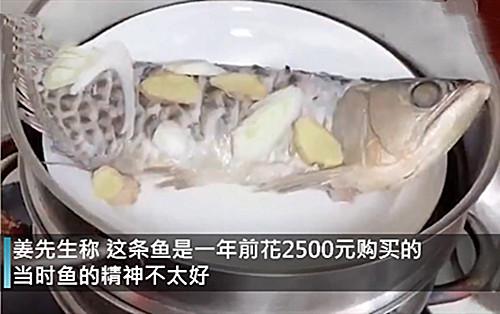 疫情想吃鱼,疫情期间不能吃鱼吗-第7张图片 疫情想吃鱼,疫情期间不能吃鱼吗-第7张图片