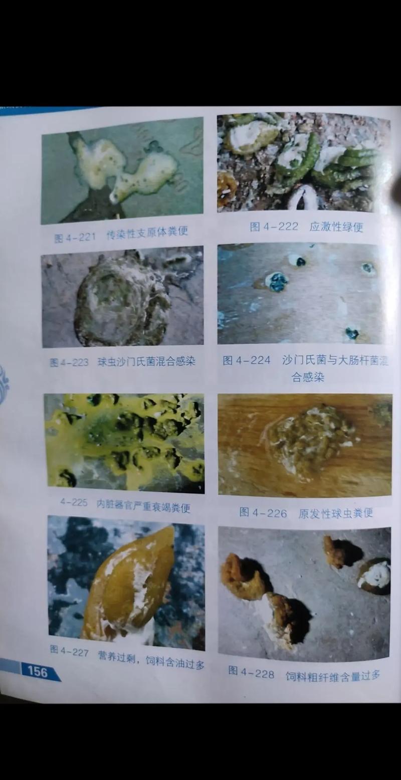 常州鸽子疫情/常州网疫情通报-第2张图片 常州鸽子疫情/常州网疫情通报-第2张图片