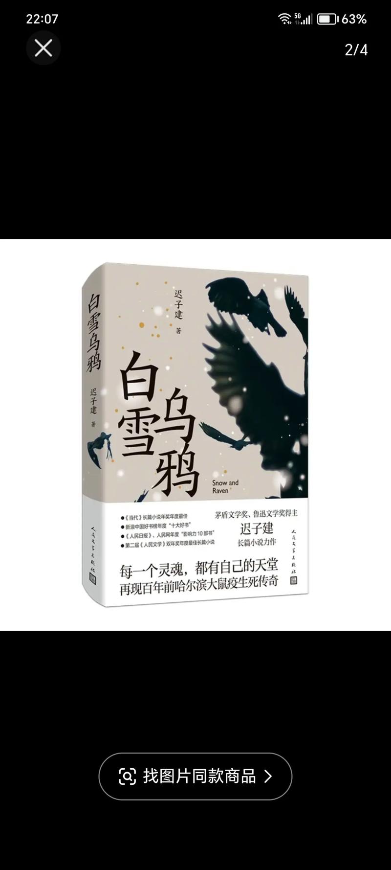 疫情随白雪/疫情与爱随行-第2张图片