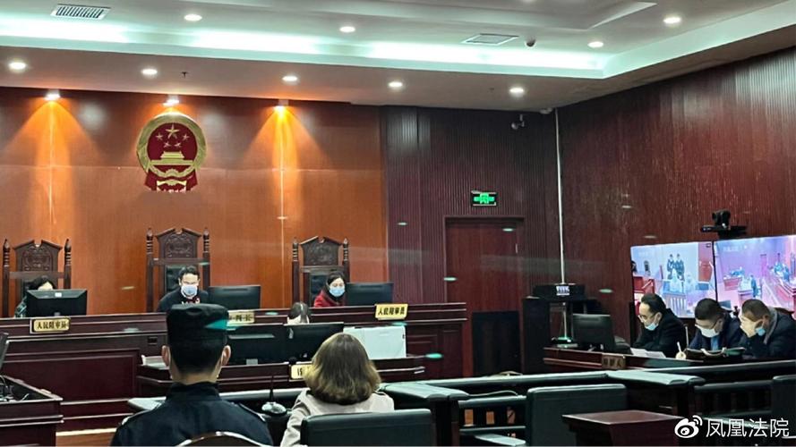 【疫情时期案件/疫情期间案件审理规定】-第2张图片 【疫情时期案件/疫情期间案件审理规定】-第2张图片