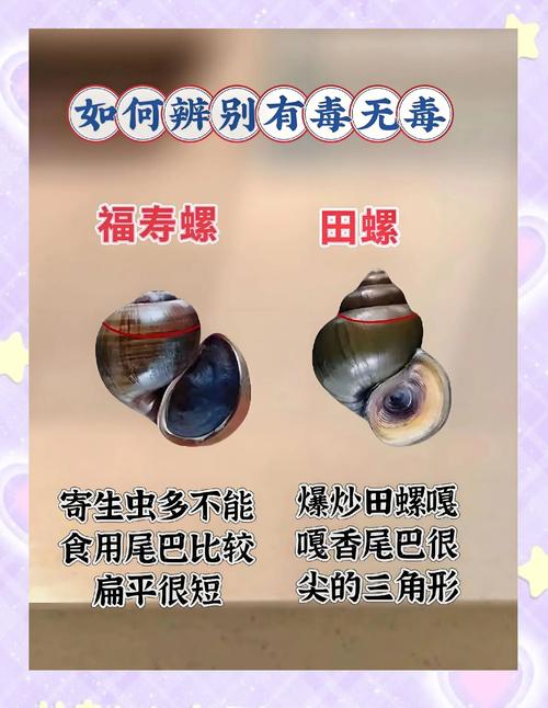 【海鲜受疫情/因海鲜引起疫情】-第2张图片