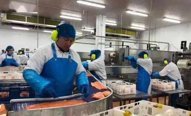 【海鲜受疫情/因海鲜引起疫情】-第6张图片