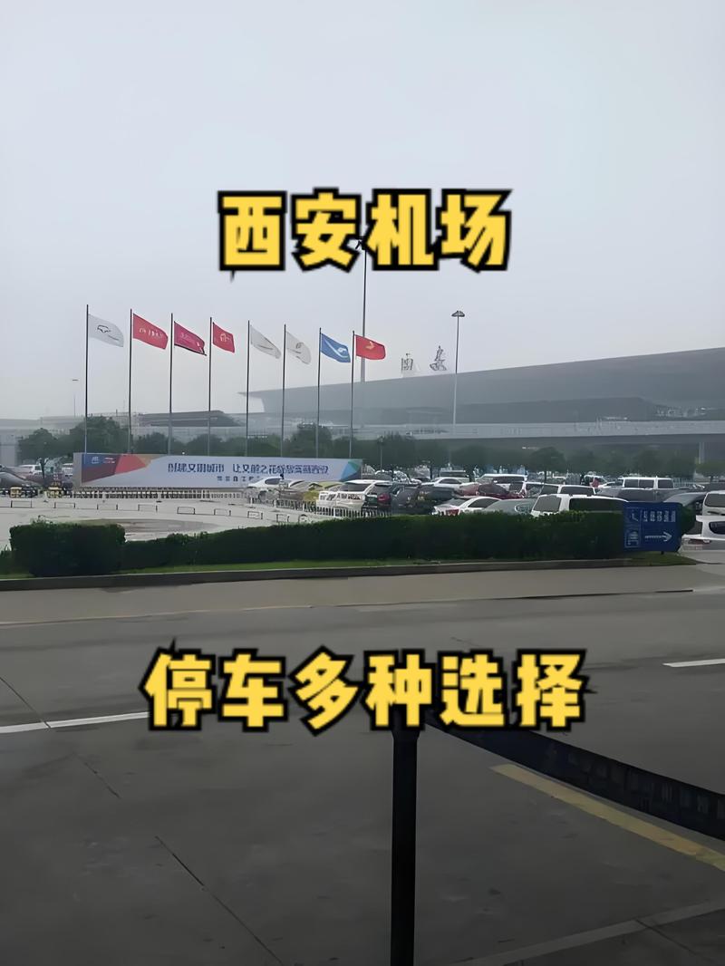 关于“一嗨租车限号”你不知道的事-第4张图片 关于“一嗨租车限号”你不知道的事-第4张图片