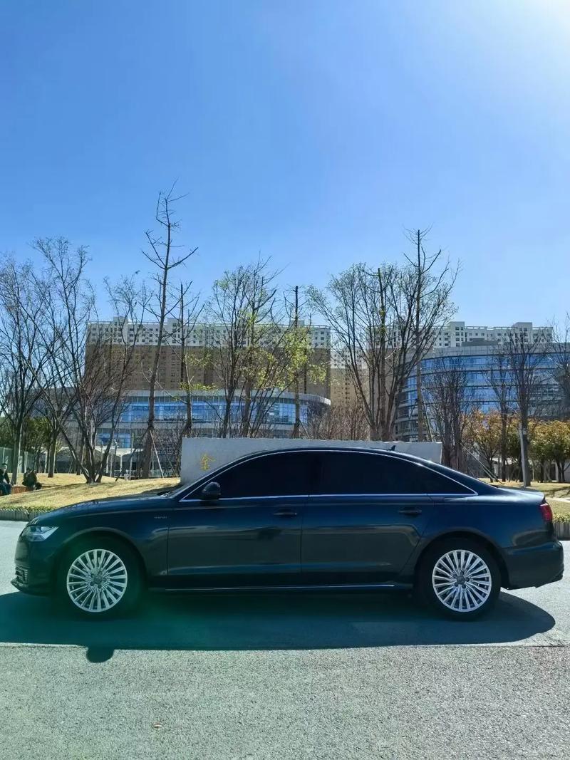 关于“绿色牌照限号吗”你不知道的事-第2张图片
