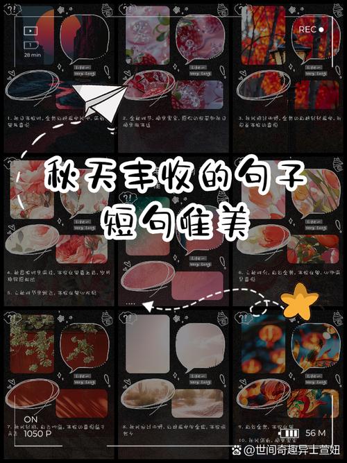 关于“疫情李子花开”你不知道的事-第1张图片 关于“疫情李子花开”你不知道的事-第1张图片