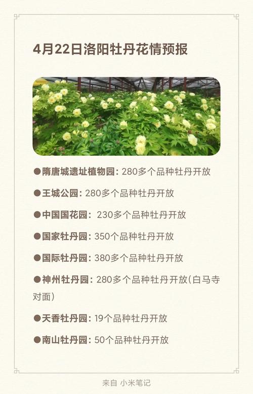 2016洛阳牡丹花会限行-2021年洛阳牡丹花会限行区域-第2张图片 2016洛阳牡丹花会限行-2021年洛阳牡丹花会限行区域-第2张图片