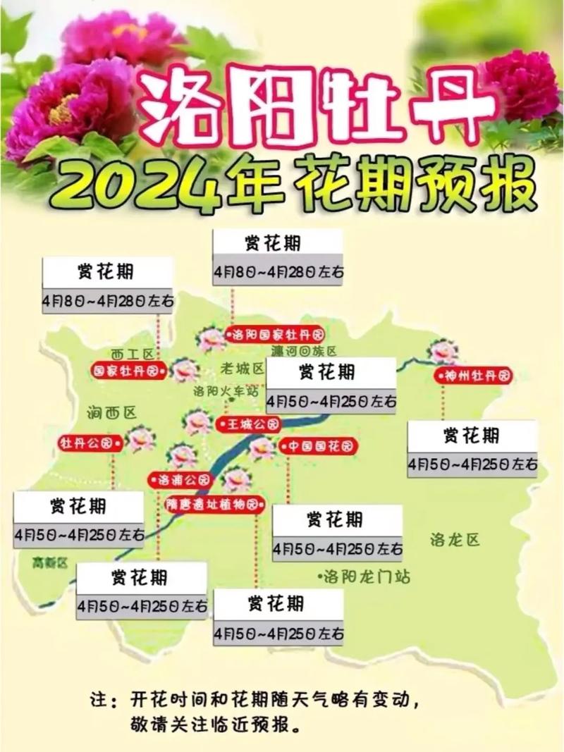 2016洛阳牡丹花会限行-2021年洛阳牡丹花会限行区域-第3张图片 2016洛阳牡丹花会限行-2021年洛阳牡丹花会限行区域-第3张图片