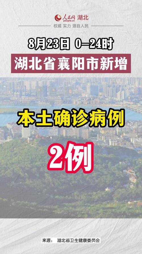 关于“襄阳疫情跟踪”你不知道的事
