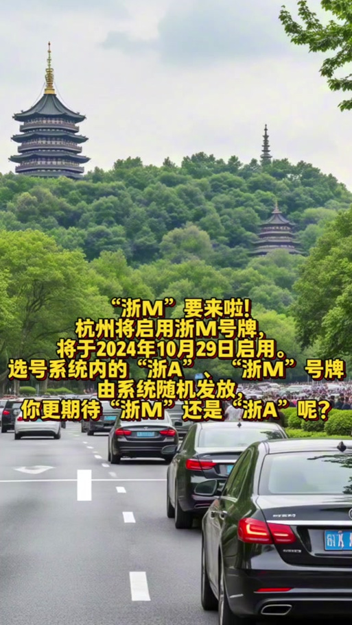 进博会交通限行/进博会2021限行-第6张图片 进博会交通限行/进博会2021限行-第6张图片