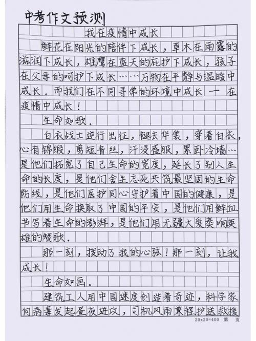 关于“在疫情中”你不知道的事