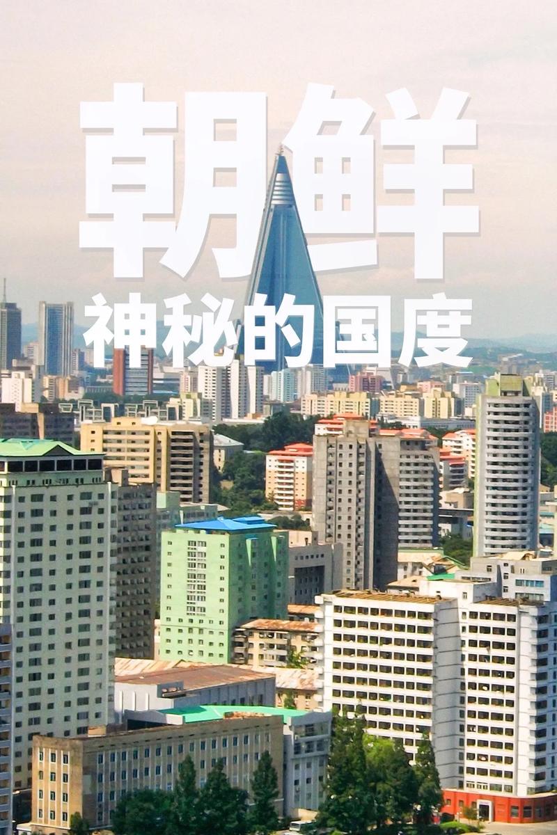 关于“疫情入境朝鲜”你不知道的事-第3张图片