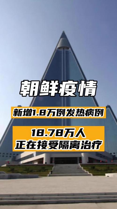 关于“疫情入境朝鲜”你不知道的事-第7张图片