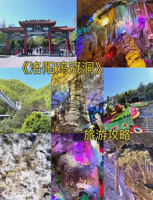 栾川限号吗-栾川是否限号-第4张图片 栾川限号吗-栾川是否限号-第4张图片