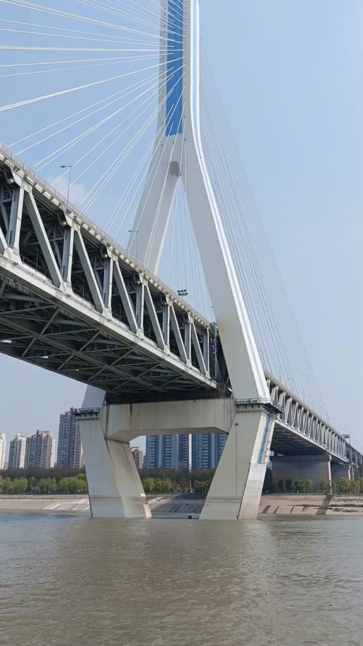 长江隧道限号,长江隧道限号规则2023-第6张图片 长江隧道限号,长江隧道限号规则2023-第6张图片