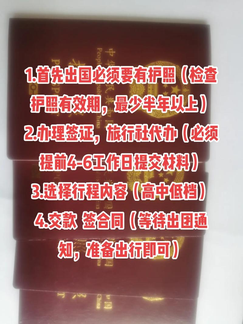 国内疫情想出国,2021年疫情出国能回来吗-第4张图片 国内疫情想出国,2021年疫情出国能回来吗-第4张图片