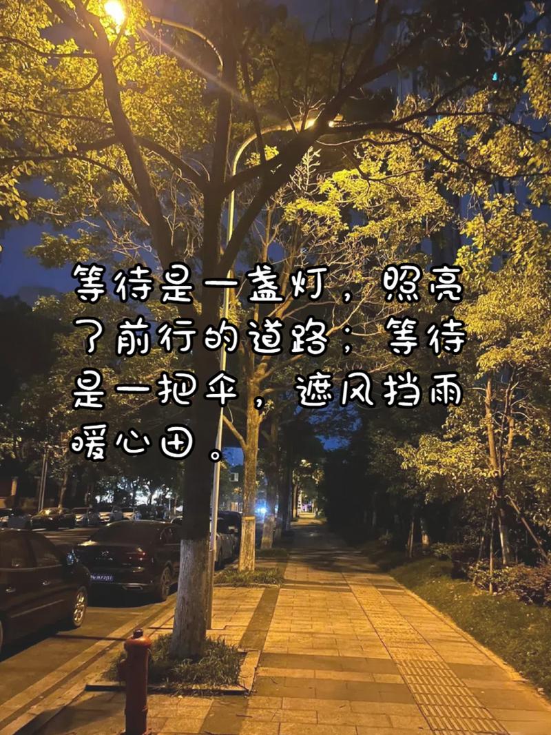 疫情过后繁华-疫情过后又恢复了往日的繁华