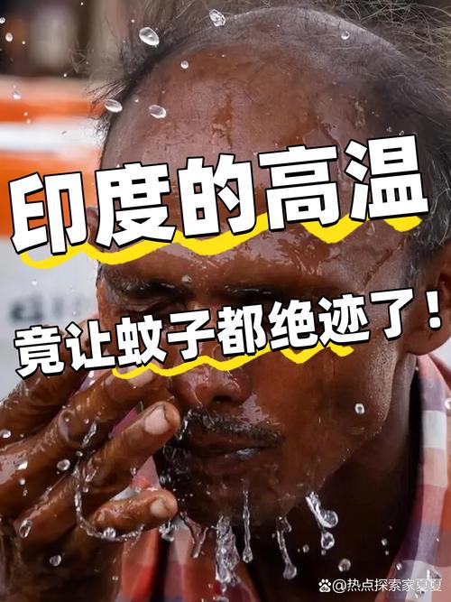 关于“印度还是无疫情”你不知道的事-第5张图片 关于“印度还是无疫情”你不知道的事-第5张图片