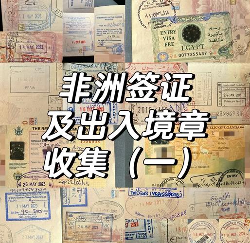 关于“疫情放行消息”你不知道的事-第1张图片