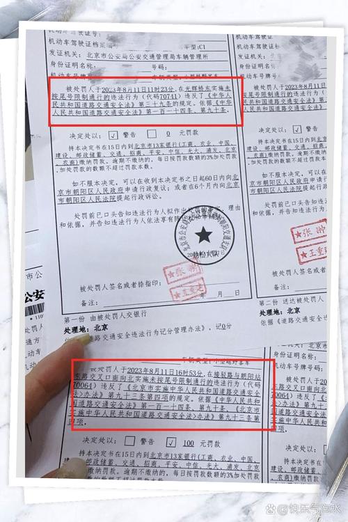 限行抓拍罚款多少,限行抓拍一定能拍到吗-第6张图片 限行抓拍罚款多少,限行抓拍一定能拍到吗-第6张图片