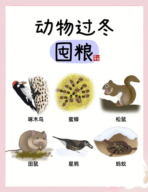 关于“东北疫情供销”你不知道的事-第6张图片 关于“东北疫情供销”你不知道的事-第6张图片