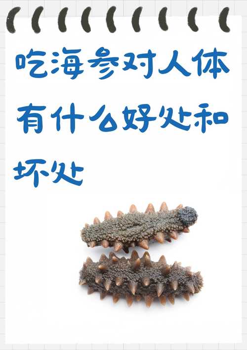 疫情与海参，疫情期间吃海参对人体的好处