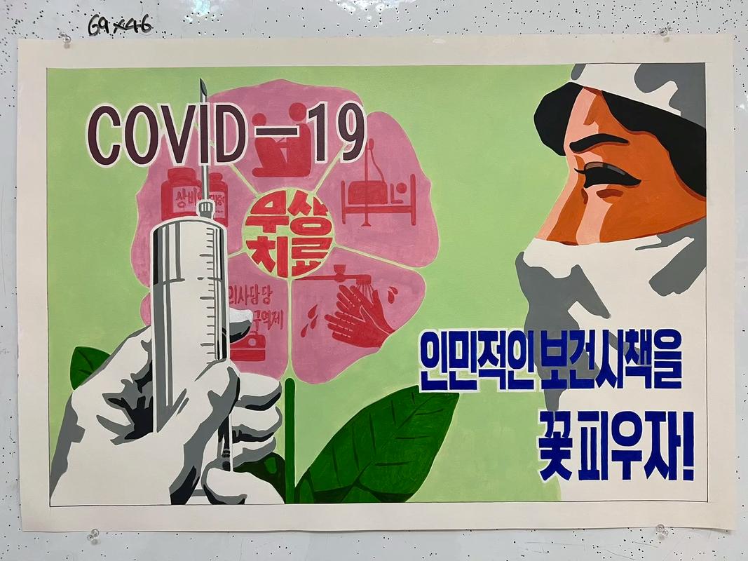 朝鲜疫情制度/朝鲜采取疫情措施-第4张图片 朝鲜疫情制度/朝鲜采取疫情措施-第4张图片
