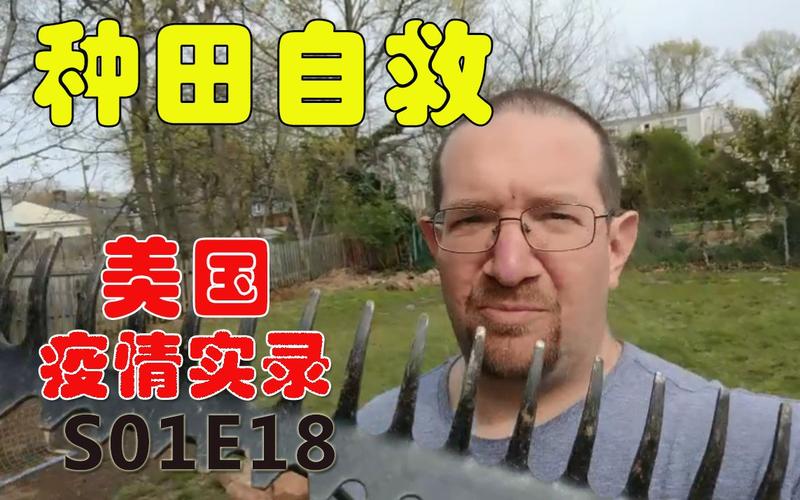 【疫情期间美国消息/疫情期间美国发生的事】-第5张图片