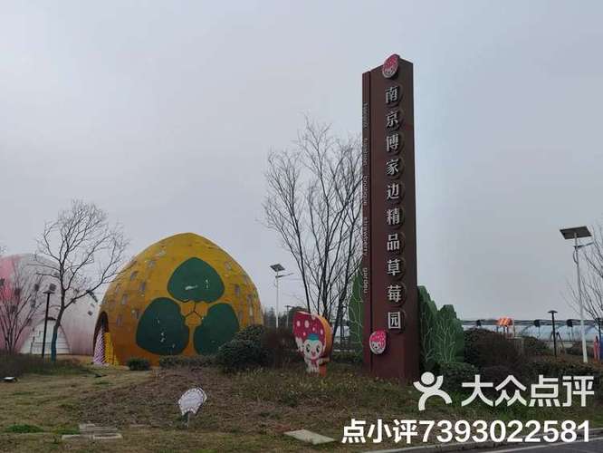 溧水疫情情况-溧水最新疫情报告-第6张图片