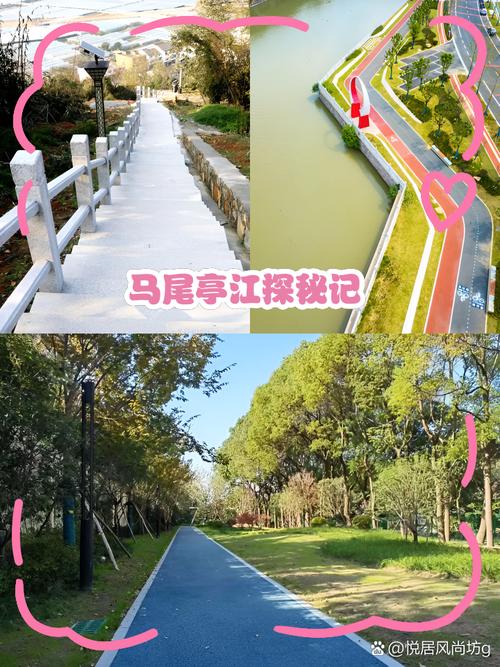 福建无疫情/福建无症状感染者轨迹-第3张图片 福建无疫情/福建无症状感染者轨迹-第3张图片