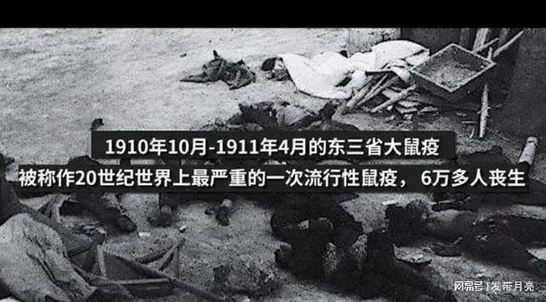疫情毁全世界/疫情毁灭世界-第8张图片