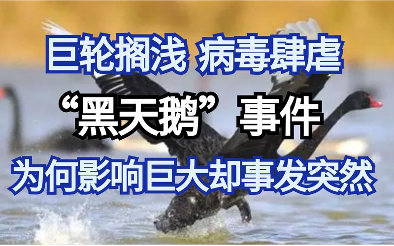 关于“此次疫情冲击”你不知道的事-第4张图片