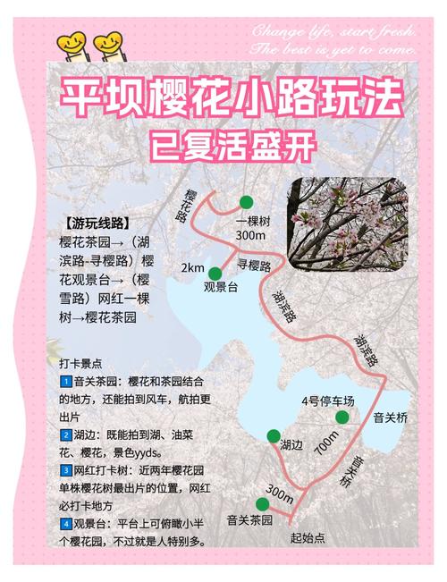 限行海报-限行标识牌的位置及要求-第5张图片