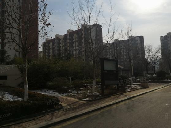 关于“新河限号”你不知道的事-第4张图片 关于“新河限号”你不知道的事-第4张图片