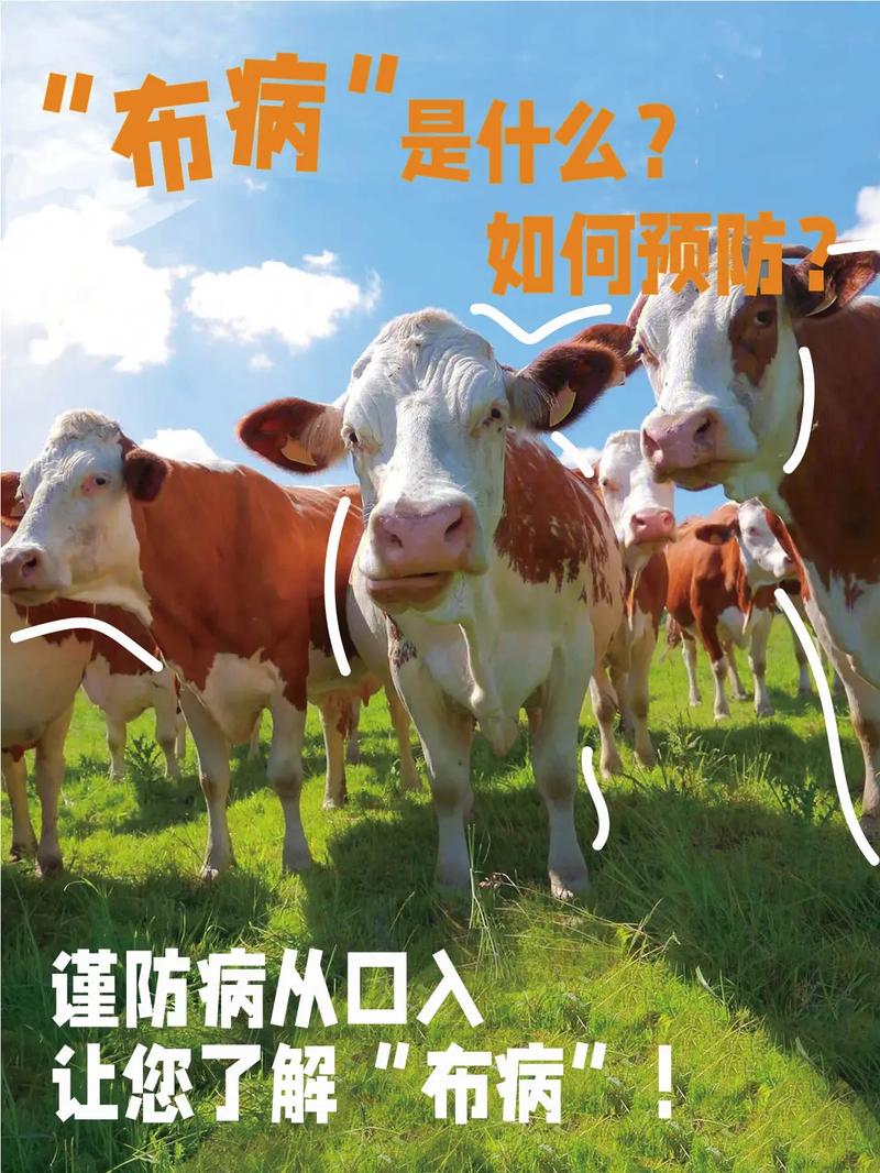 牛肉有疫情，牛肉疫情最新情况-第2张图片