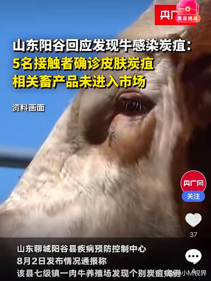 牛肉有疫情，牛肉疫情最新情况-第3张图片