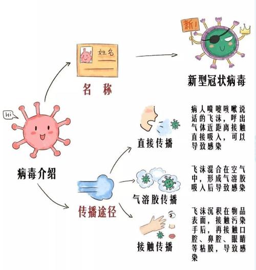 疫情原理科普/新冠疫情的原理-第1张图片