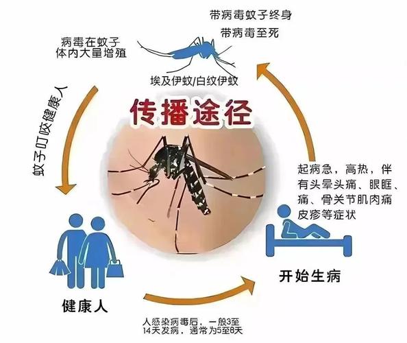 疫情原理科普/新冠疫情的原理-第4张图片