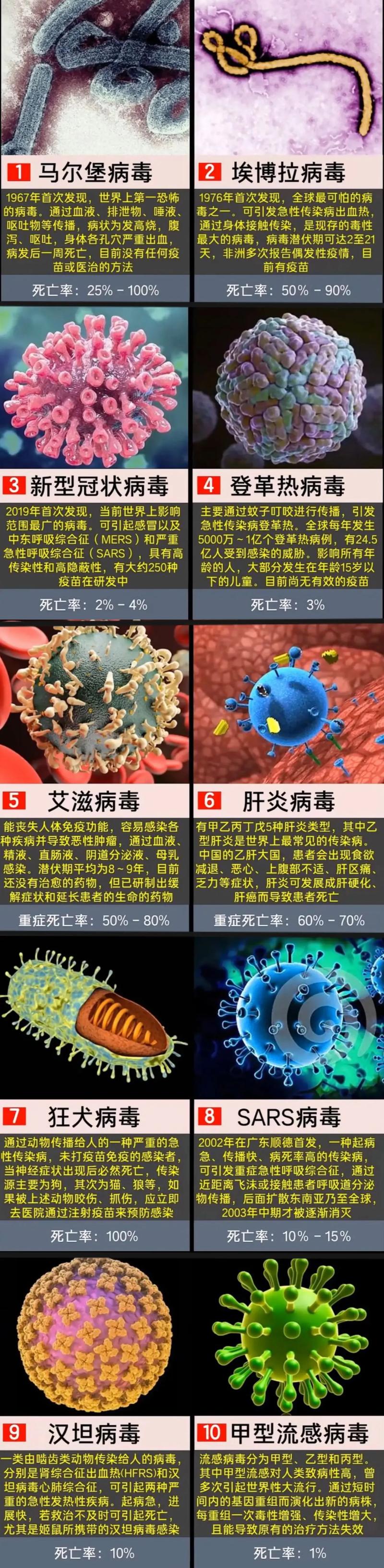 【疫情病毒密码/抗疫密码china】-第6张图片