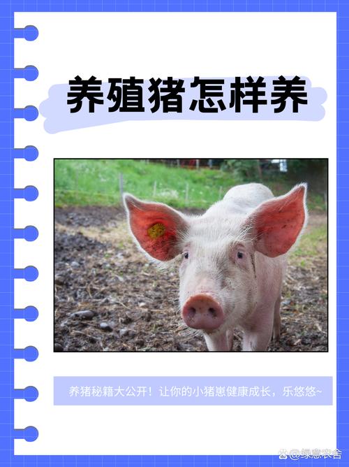 疫情后养猪-2020疫情对养猪户有影响吗-第4张图片