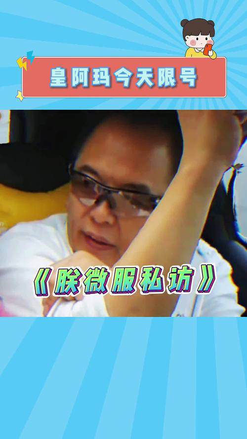 限号搞笑,车牌限号的搞笑说说-第2张图片 限号搞笑,车牌限号的搞笑说说-第2张图片